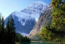 阿森纳门将贡献连串救球，关键时刻挽救球队