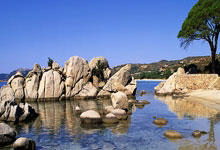 阿森纳门将贡献连串救球，关键时刻挽救球队