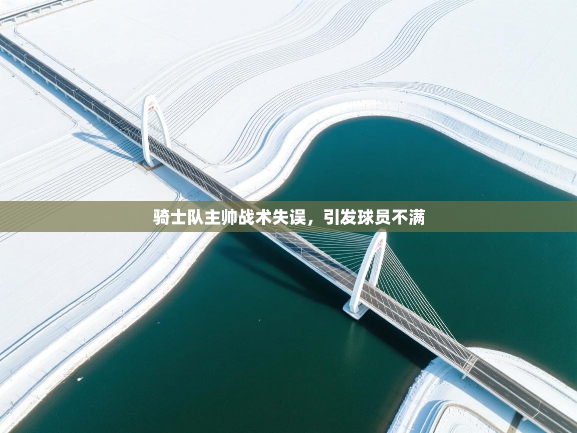 骑士队主帅战术失误，引发球员不满  第2张