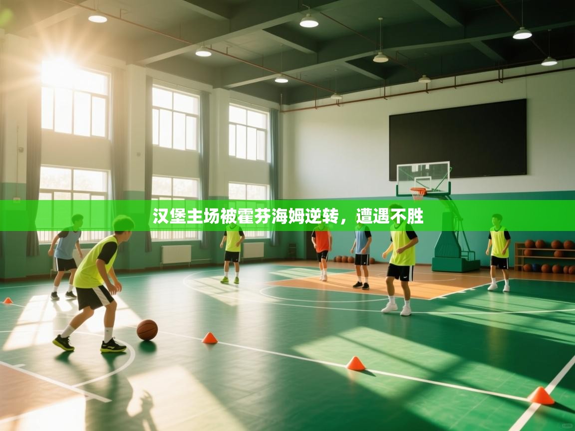 汉堡主场被霍芬海姆逆转，遭遇不胜  第2张