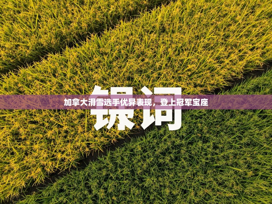 加拿大滑雪选手优异表现,登上冠军宝座 第2张