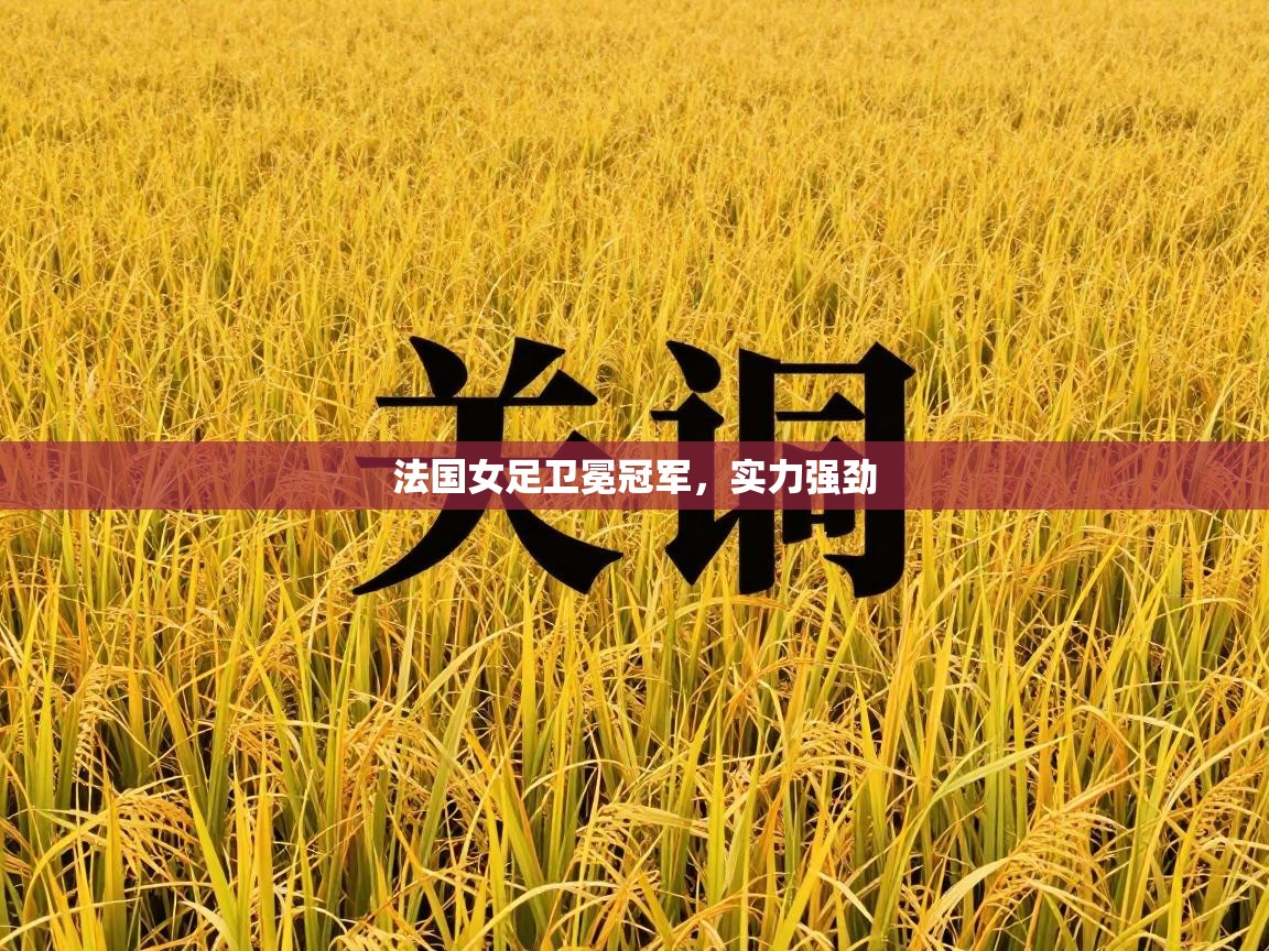 法国女足卫冕冠军，实力强劲  第2张