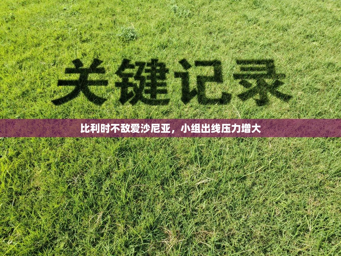 比利时不敌爱沙尼亚,小组出线压力增大 第2张